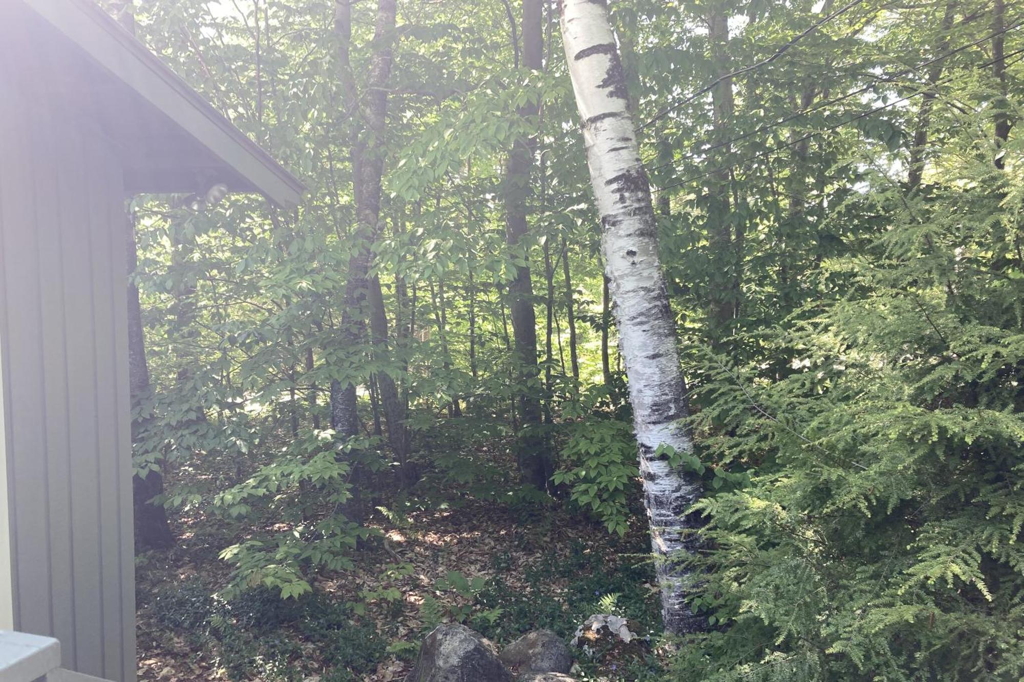 Snowflake Cabin Barnumville 외부 사진